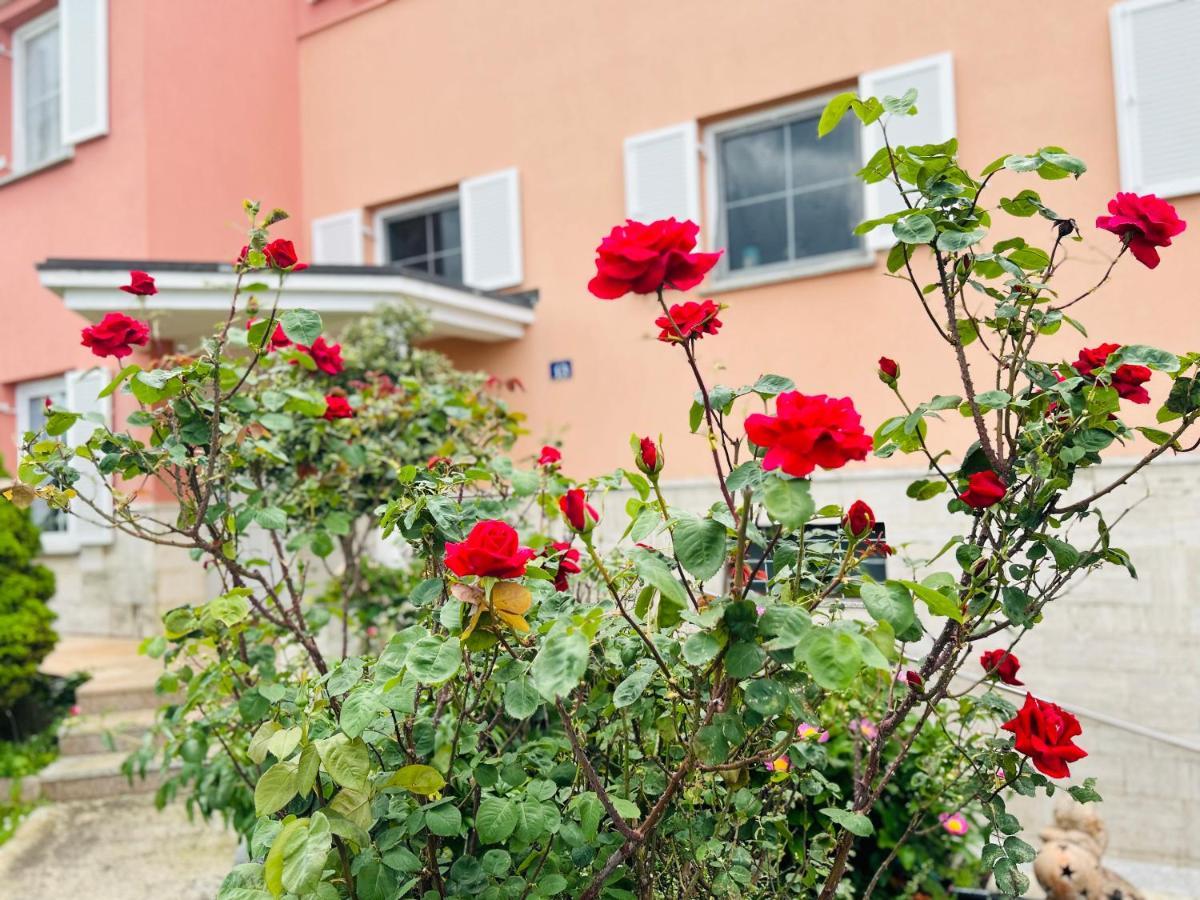 Ferienwohnung Casa Cino Umag Exterior foto